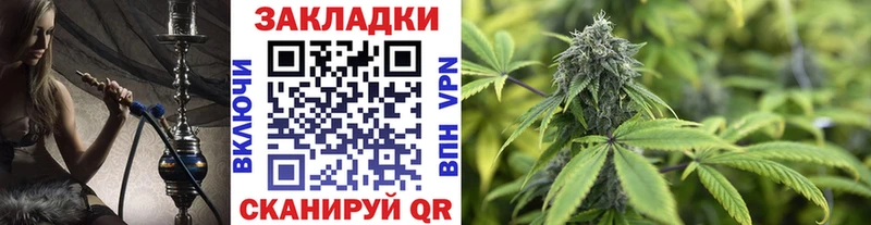 Виды наркоты Перевоз Канабис  A-PVP  Мефедрон  COCAIN 