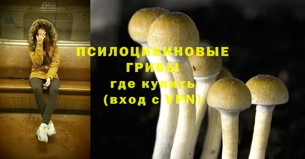 ПСИЛОЦИБИНОВЫЕ ГРИБЫ Ельня