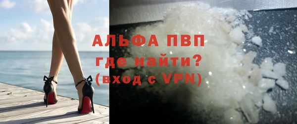 ПСИЛОЦИБИНОВЫЕ ГРИБЫ Ельня