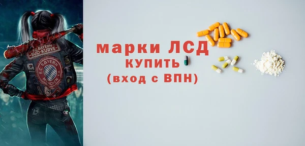 ПСИЛОЦИБИНОВЫЕ ГРИБЫ Ельня