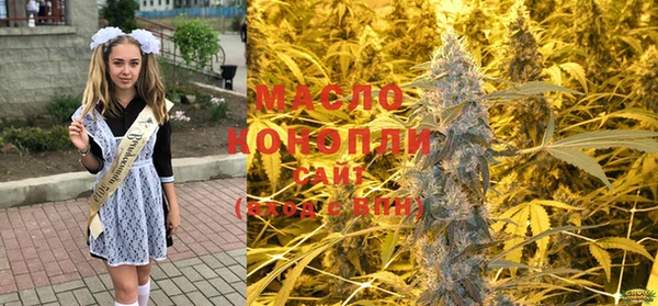 ECSTASY Пересвет