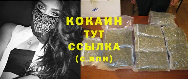 ПСИЛОЦИБИНОВЫЕ ГРИБЫ Ельня