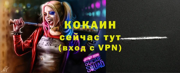 ПСИЛОЦИБИНОВЫЕ ГРИБЫ Ельня