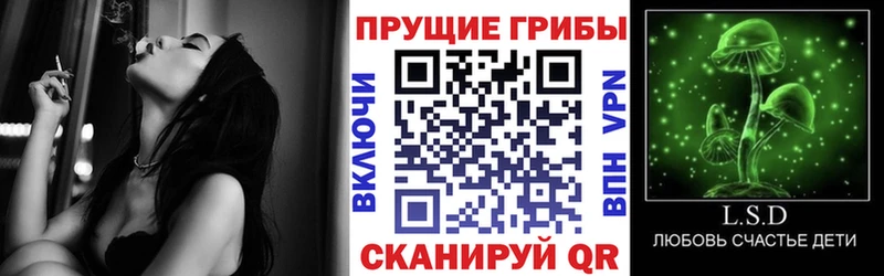 наркошоп  кракен зеркало  Псилоцибиновые грибы Psilocybine cubensis  Перевоз 